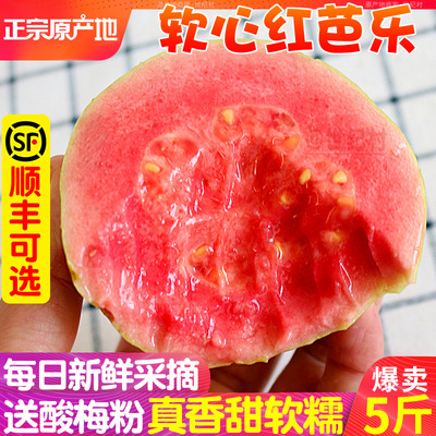【顺丰可选】抢！软糯红心芭乐
