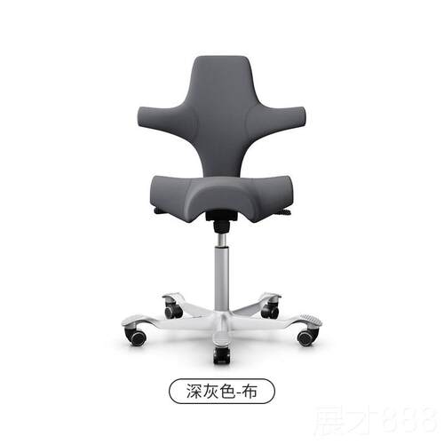 正品约挪威进口HAG Capisco骑马椅真皮款人体学电脑办公椅 羊软包