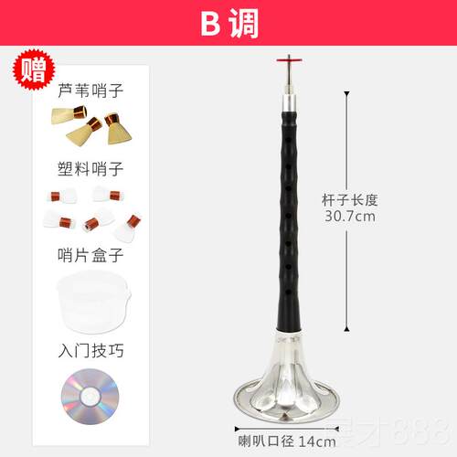 正品新宝呐B调乌木黑檀A木CDEFG调吹喇降叭乐器初学者入门全唢套