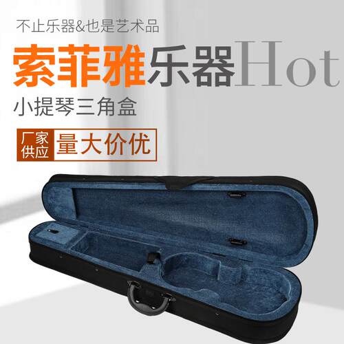 小提琴琴盒抗压防水帆布超轻便双肩背带专业大谱袋箱包琴盒