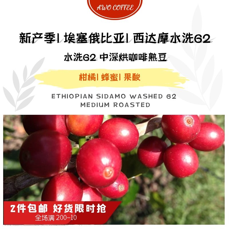 新产季西达摩深焙柑橘咖啡熟豆