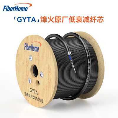 24芯室外光缆铠装万兆多模光纤24芯户外国标GYTA-24A1a-OM4