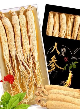 5支白参吉林长白山人参特产精品优质生晒参干参野山参黑色礼盒装