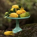 微瑕疵 饰佛手果 四川红花佛手柑高山闻香清供水培绿植家居装