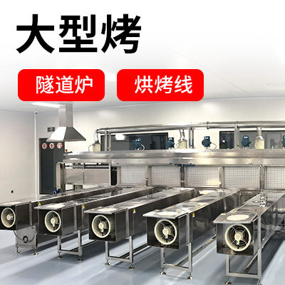 霍普森 大型烤厂家直销恒温隧道炉 高温隧道烘干线 隧道炉烘干箱