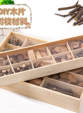 diy干枯小木片走廊环境布置松果