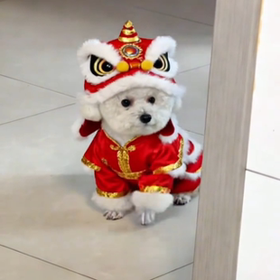 狗狗猫咪帽子头套喜庆冬款保暖装扮舞狮子宠物搞笑服头饰用品