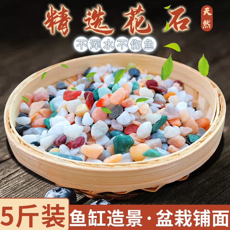 天然雨花石多肉盆栽铺面小彩石鱼缸造景专用铺底花盆园艺装饰造景,鲜花速递/花卉仿真/绿植园艺,其它园艺用品,淘宝优惠券,粉丝福利购,淘宝优惠卷