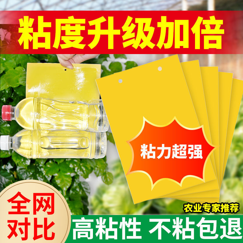 粘虫板黄板双面诱虫灭花盆