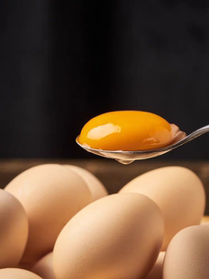 给小院狗狗吃的鸡蛋50个