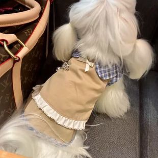 宠物衣服狗狗猫咪秋季新品洋气连衣裙假两件泰迪比熊小型犬无袖