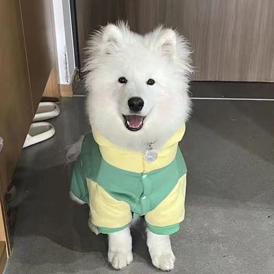 狗狗衣服春秋中大型拉布拉多加厚保暖萨摩耶冬防寒大型犬薄绒卫衣