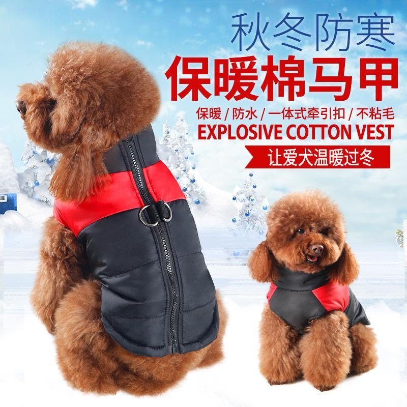 泰迪法狗狗棉衣服新年八哥