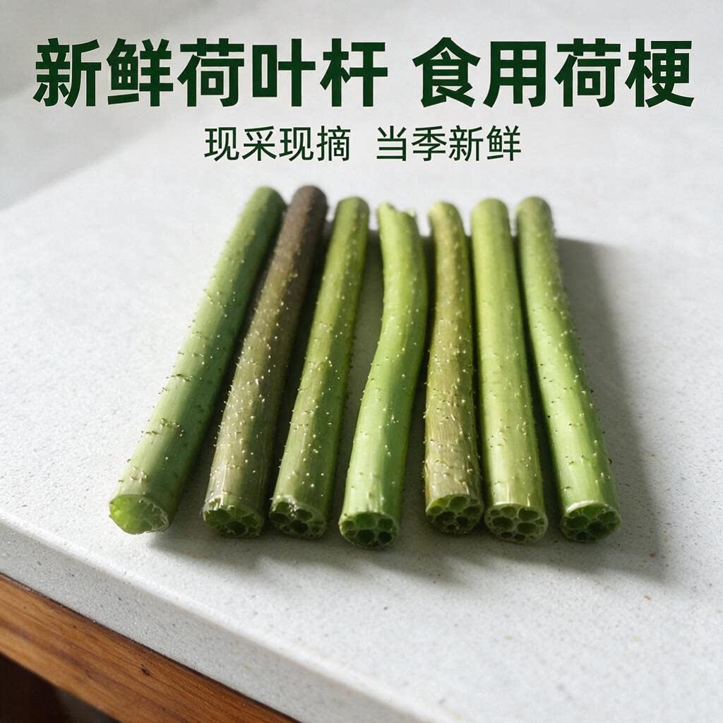 新鲜荷叶梗杆子莲蓬杆荷花杆藕杆现摘现发天然煲汤煮凉茶插花杆