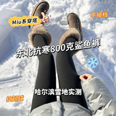 高腰加长打底瑜伽裤 棉裤 东北保暖 女外穿冬季 800克加绒加厚鲨鱼裤