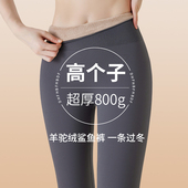 800克鲨鱼裤 东北特厚打底裤 高个子加长女外穿冬季 加绒加厚瑜伽裤
