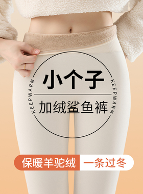 鲨鱼裤冬季加绒小个子145cm女外穿白色打底裤子羊驼绒保暖瑜伽裤