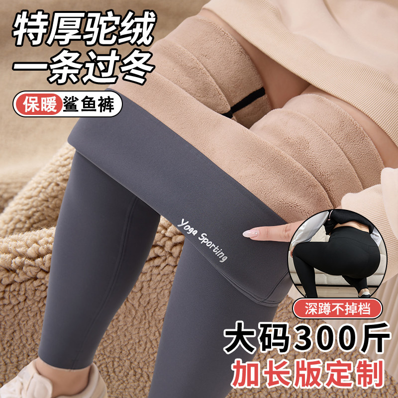 俏盾羊驼绒鲨鱼裤胖mm大码不掉档