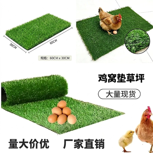 户外宠物绿色草坪鸡窝垫塑料人造猫狗鸡窝宠物垫可清洗人造草坪垫