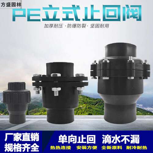 PE热熔活接立式止回阀20 25 32 40 50 63 75防倒流回流承插止逆阀