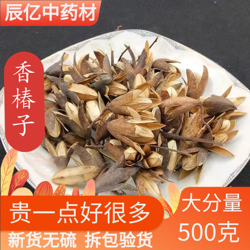 中药材香椿子野生 椿树子 香椿