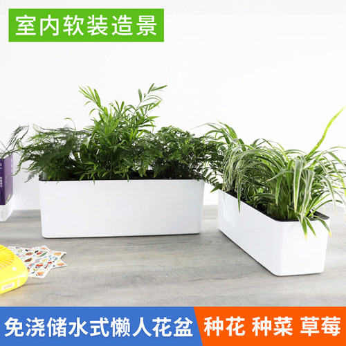 塑料长方形懒人自动吸水花盆加厚