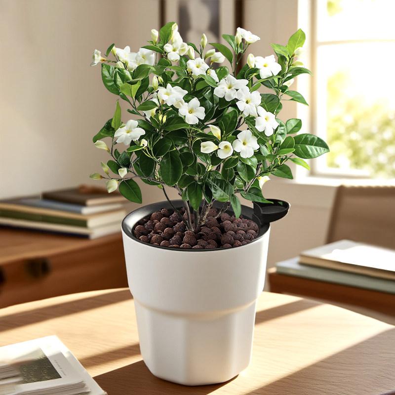 塑料花盆轻奢高级感家用水培绿萝吊兰水仙郁金香加厚耐用盆栽盆子