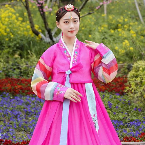 新款朝鲜服族刺绣花袖韩服女日常