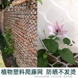 新型花墙爬藤网塑料挂墙网格上墙花架月季花铁线莲爬藤架子牵引网