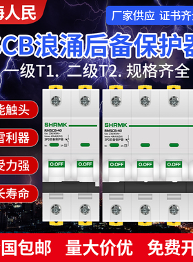 上海人民SCB浪涌后备保护器SPD一级T1电涌4P2P开关二级T2防雷后备