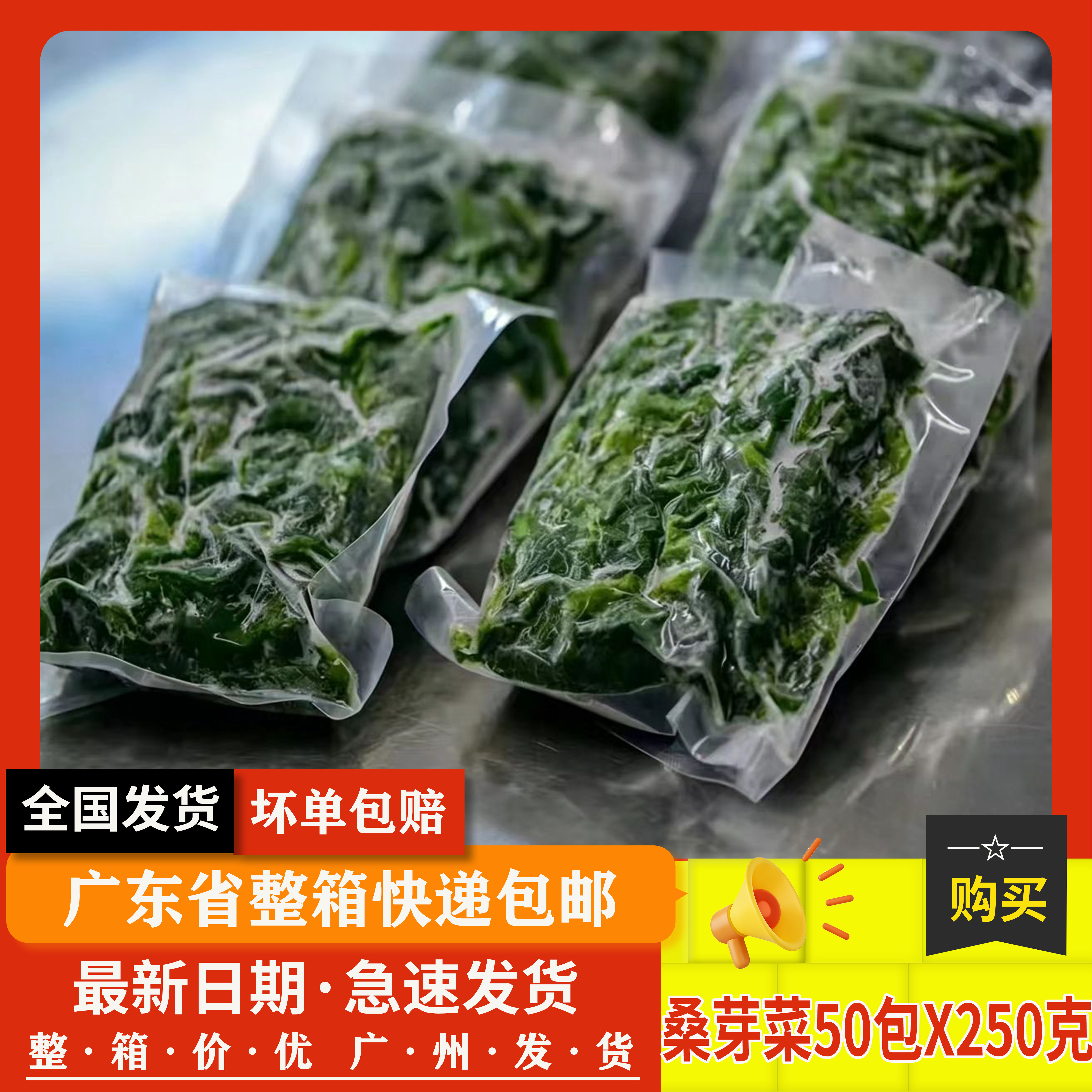 新鲜冷冻桑叶上汤桑芽绿色食品图片