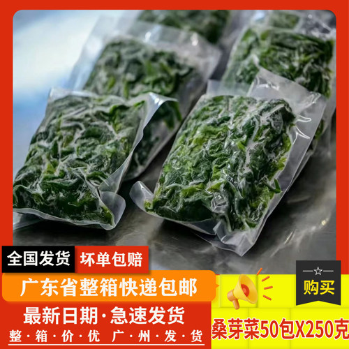 新鲜冷冻桑叶上汤桑芽绿色食品