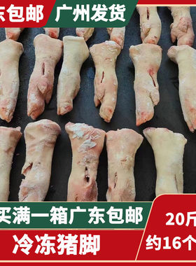 新鲜整根生猪蹄精品前蹄冷冻带筋猪蹄子烧烤生鲜猪脚猪爪猪手20斤