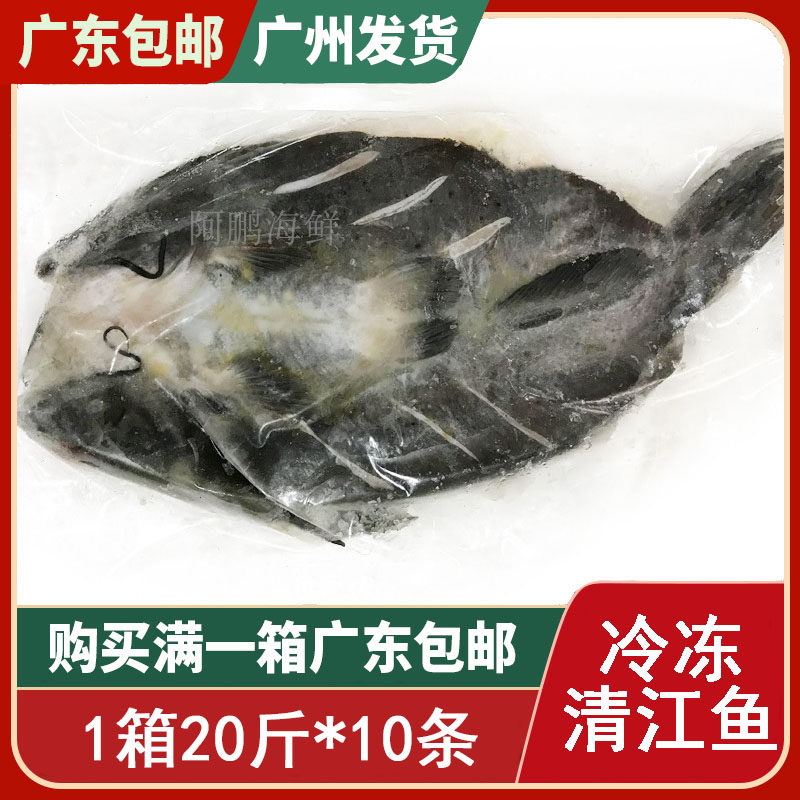 冷冻开背清江鱼 2斤左右 新鲜黑尾鮰鱼烧烤烤鱼用 1箱20斤 10条