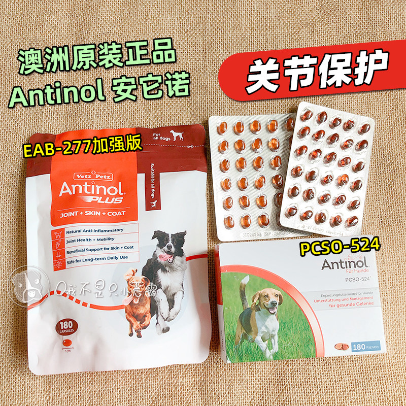 Antinol软骨素安替诺277plus加强版安它诺髌骨狗猫关节保护青口贝
