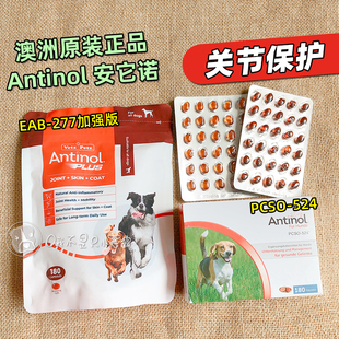Antinol软骨素安替诺277plus加强版安它诺髌骨狗猫关节保护青口贝