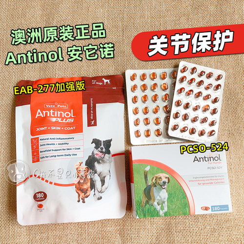 Antinol软骨素安替诺277关节保护