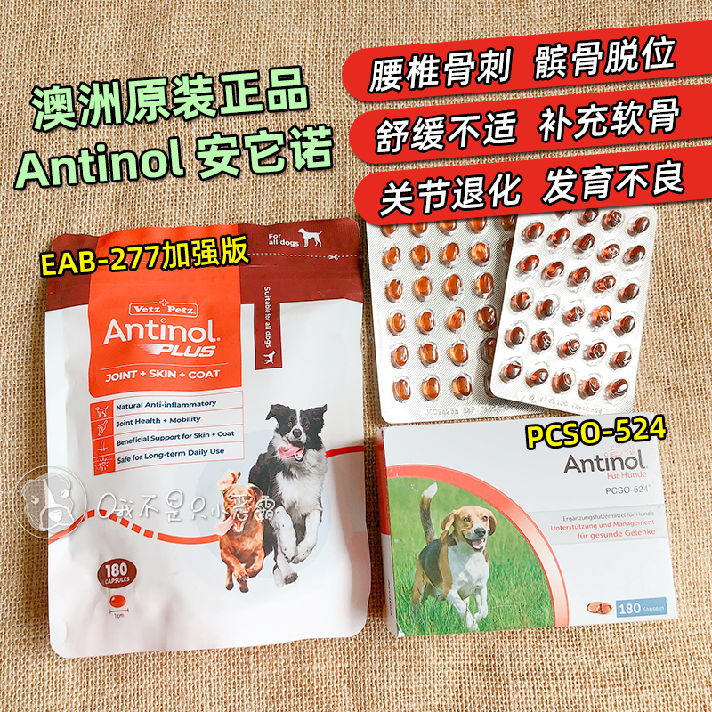 安它诺Antinol277狗猫关节软骨素