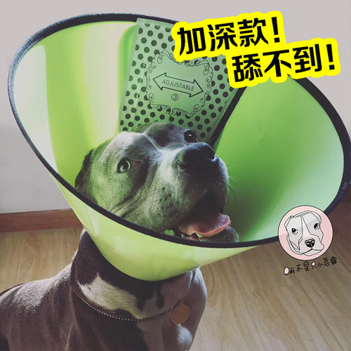 伊丽莎白猫咪保护耻辱防挠项圈