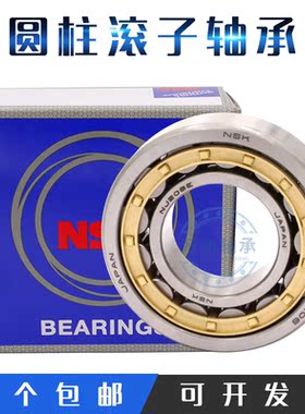 NSK圆柱滚子轴承NJ NU202 N203 RN204 205 206 207 208 209 210EM