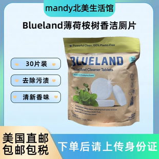 美国直邮 Blueland薄荷桉树香洁厕片除臭除垢祛黄洁厕宝30片装