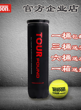 Teloon天龙网球POUND LUXQ1冲击波训练比赛网球P4P3听装网球