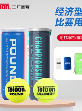 TELOON天龙网球训练球 天龙青春版pound比赛用球业余比赛用球