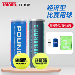 TELOON天龙网球训练球 天龙青春版pound比赛用球业余比赛用球