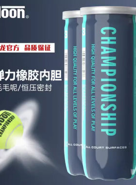 天龙网球训练球高回弹力室内专业练习球业余比赛网球CHAMPIONSHIP