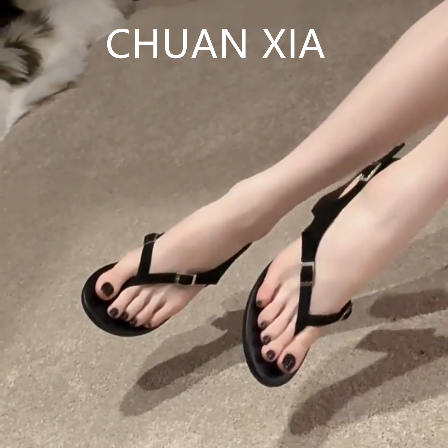 羊皮版·法式简约风夹趾