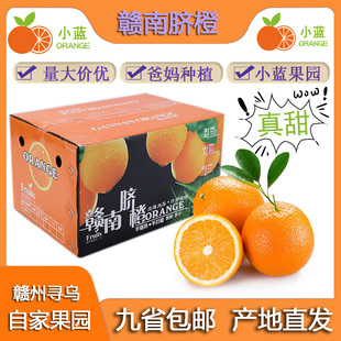 京东直发—正宗赣南脐橙江西寻乌赣南脐橙自家果园——11月份上架