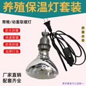 宠物保温灯养殖场取暖灯小猪育雏烤灯加热灯泡猫狗小鸡专用保暖灯