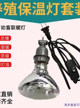 宠物保温取暖灯育雏专用