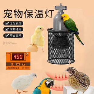 自动控温灯鹦鹉保温灯芦丁鸡鸟无光加热保暖防咬防烫取暖罩加热灯